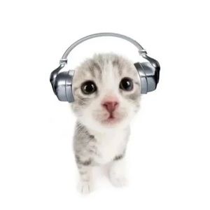 Meet your Posher, Bena